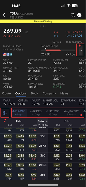 The option chains on the iPhone 